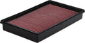 Washable Replacement Engine Air Filter, Pack of 2 L824269