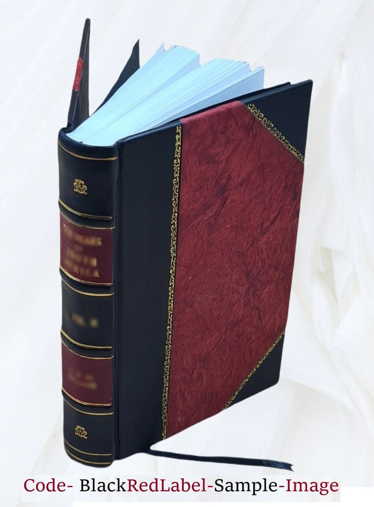 1919 Leather Bound Book P5319