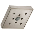 Stainless Single-Setting Raincan Shower Head S344723
