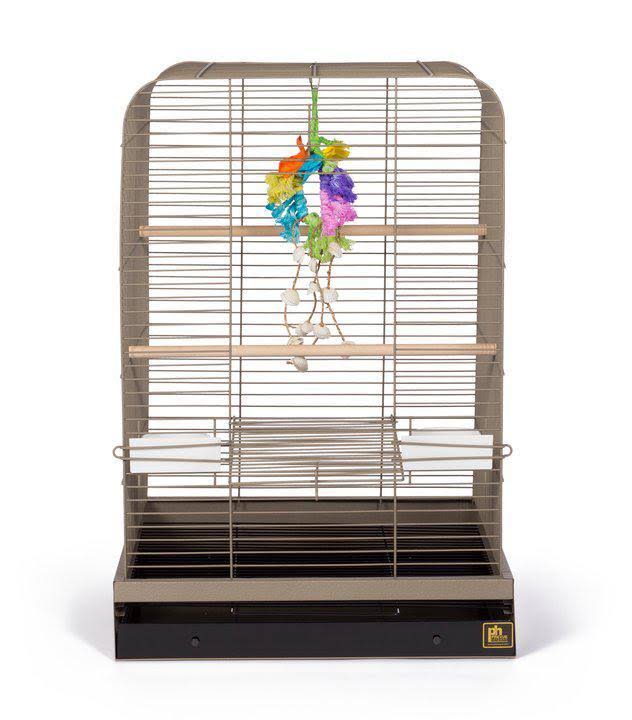 Black Bird Cage Y109
